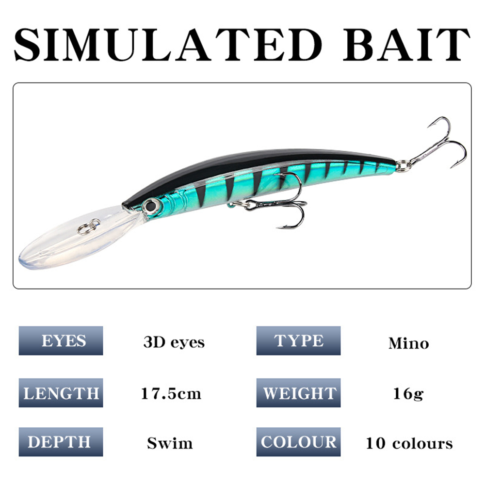 Lange Zunge Minnow Angelköder  – Fishing Lure Jerkbait Bewertung und Preis